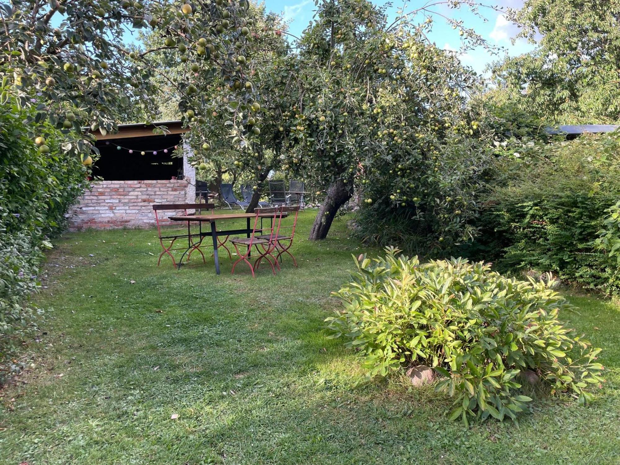 Renovated Apartment In The Old Farmhouse Krusenhagen Exterior foto